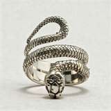 Anillo CICERO